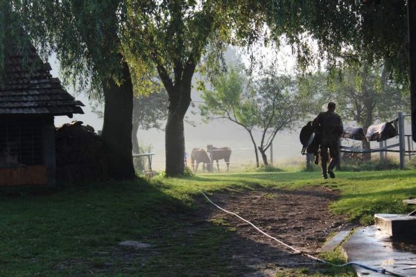 IMG-20210407-WA0035-600x400