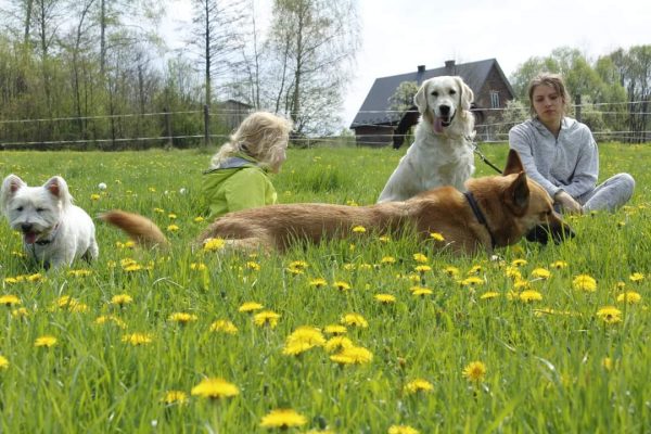 IMG-20210407-WA0041-600x400