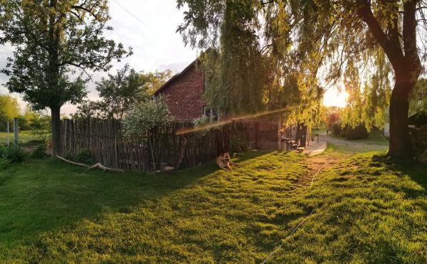 IMG-20210407-WA0074-600x371