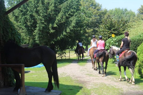 IMG-20210407-WA0036-600x400