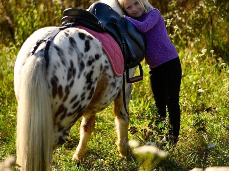 0c4d2737-d195-448d-953f-0e09e8f6a010