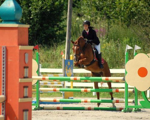 PHOTO-2025-06-14-18-11-53 (1)