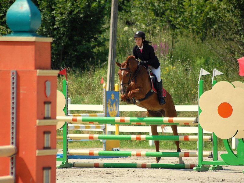 PHOTO-2025-06-14-18-11-53 (1)