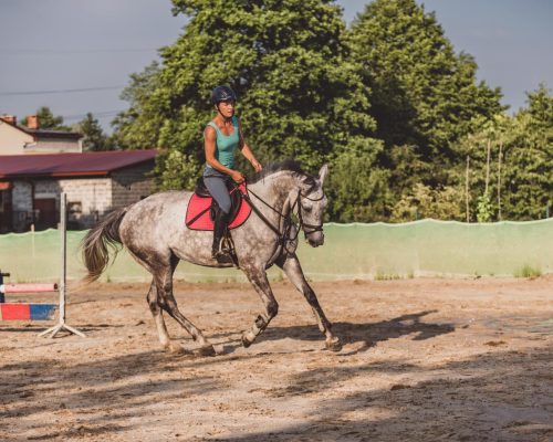 PHOTO-2025-06-14-18-11-54 (1)