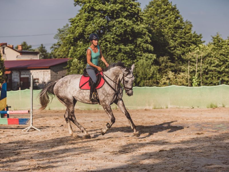 PHOTO-2025-06-14-18-11-54 (1)